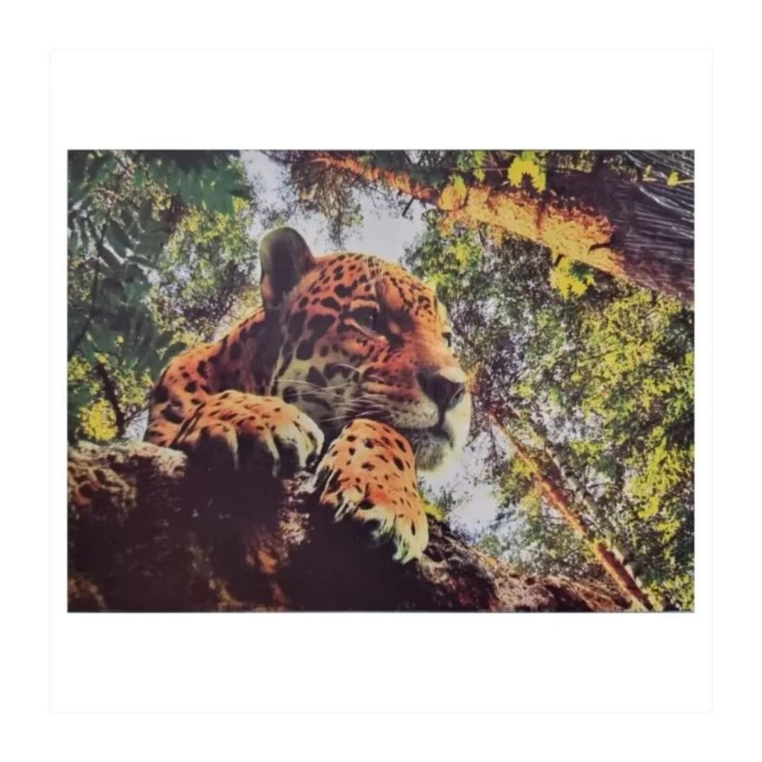 Quebra-Cabeça Onça Pantaneira 500 pçs - Pais & Filhos - Imagem 2