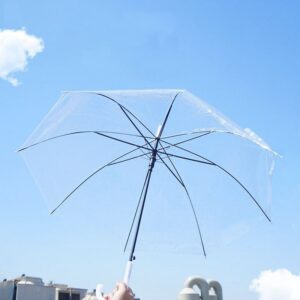 Guarda Chuva de Poliéster 53cm Transparente - Imagem 2