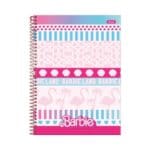 Caderno Universitário Barbie 1 Matéria C/ 80 Folhas - Foroni