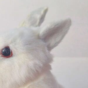 Coelho Decorativo Peluciado de Fibra Acrílica e Isopor para Páscoa 16cm - Rio Tijucas - Imagem 5