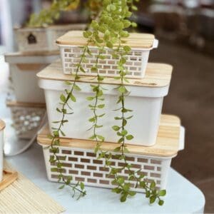 Caixa Organizadora com Tampa de Bambu 3L Collection - Utility Nauá - Imagem 3