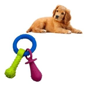 Mordedor Pet de TPR Argola com Osso e Chupeta 15cm - Rio Tijucas - Imagem 3