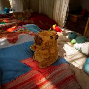 Brinquedo de Pelúcia 18cm Capivara - Imagem 2