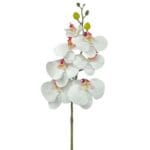 Haste de Orquídea Phalaenopsis Artificial Unitária FA923204 Sortida - Bella Flor