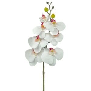 Haste de Orquídea Phalaenopsis Artificial Unitária FA923204 Sortida - Bella Flor