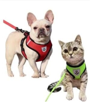 Coleira Peitoral para Cães - Impo Pet - Imagem 3