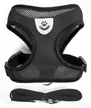 Coleira Peitoral para Cães - Impo Pet
