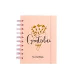 Agenda 2026 168 Folhas de Papel 104mm X 141mm Interponte-Sortido