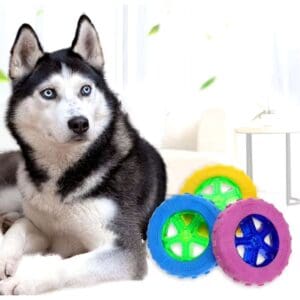 Brinquedo Pet Disco Colorido Roda 8cm 123ùtil-Sortido - Imagem 2