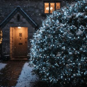 Pisca Fio de Fada de 50M com 1000 LED's Brancos 220V 3.5W - Guirlanda de Orvalho - Imagem 2