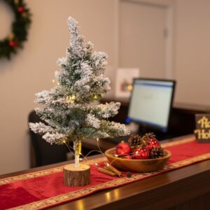 Mini Pinheiro / Árvore de Natal Verde Nevada de 48cm - Wincy - Imagem 2