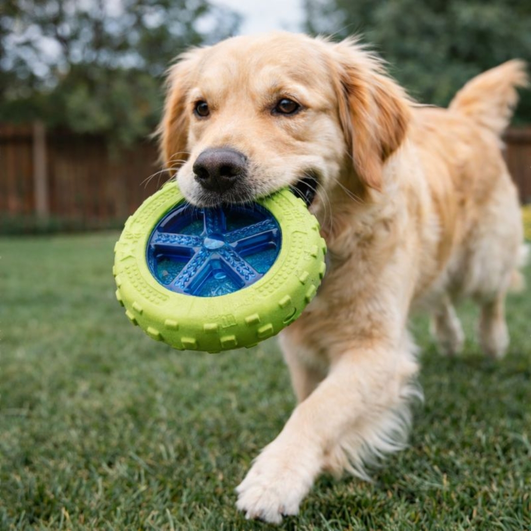 Brinquedo Pet Mordedor Disco Colorido e Emborrachado de 12,8cm - 123 Útil - Imagem 2